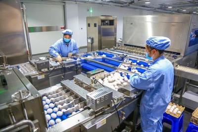 全國人大代表、華蘭生物董事長安康再發(fā)聲:研發(fā)不會缺席,會生產出新型疫苗