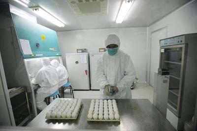 甲型H1N1流感疫苗開始在我國(guó)批量生產(chǎn)