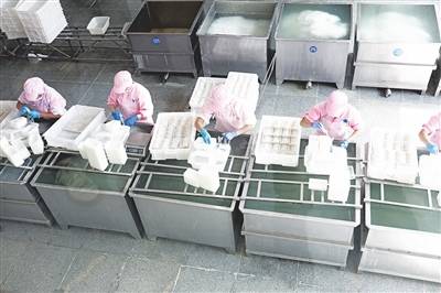 項(xiàng)目建設(shè)快馬加鞭