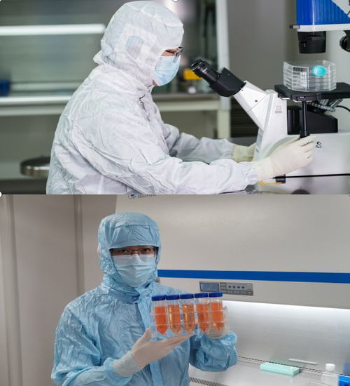中國人保為煙臺旭智生物承保產(chǎn)品責(zé)任險,為消費者保駕護航